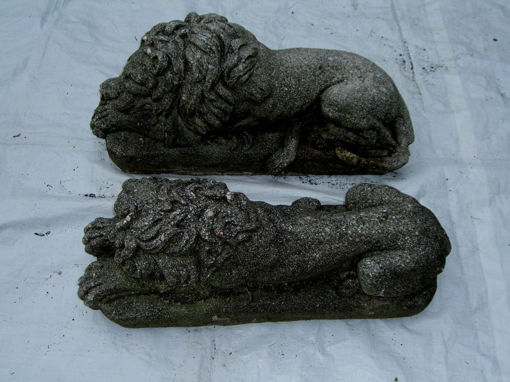 Great pair of of old cast stone recumbent lions 1