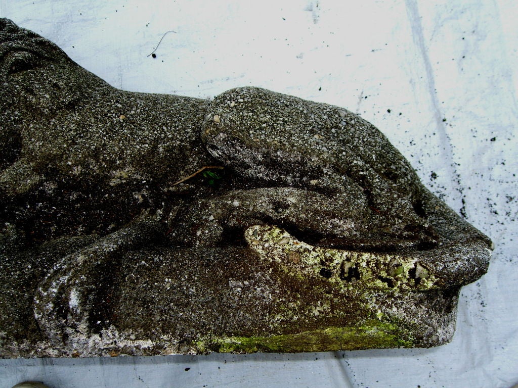 Great pair of of old cast stone recumbent lions 2