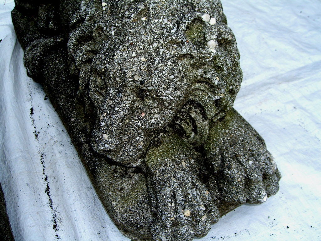 Great pair of of old cast stone recumbent lions 4