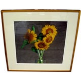 Vintage Signed Francesco Scavullo colored photo of yellow flowers