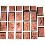 Set of Twenty Three Early 20th Century Framed Botanicals