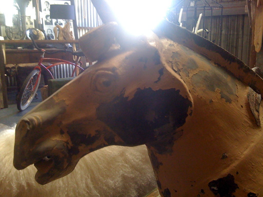 c.1915 panamanian equine