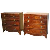 PAIR Georgian style bowfront chests.