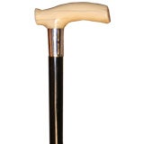 Walking Stick