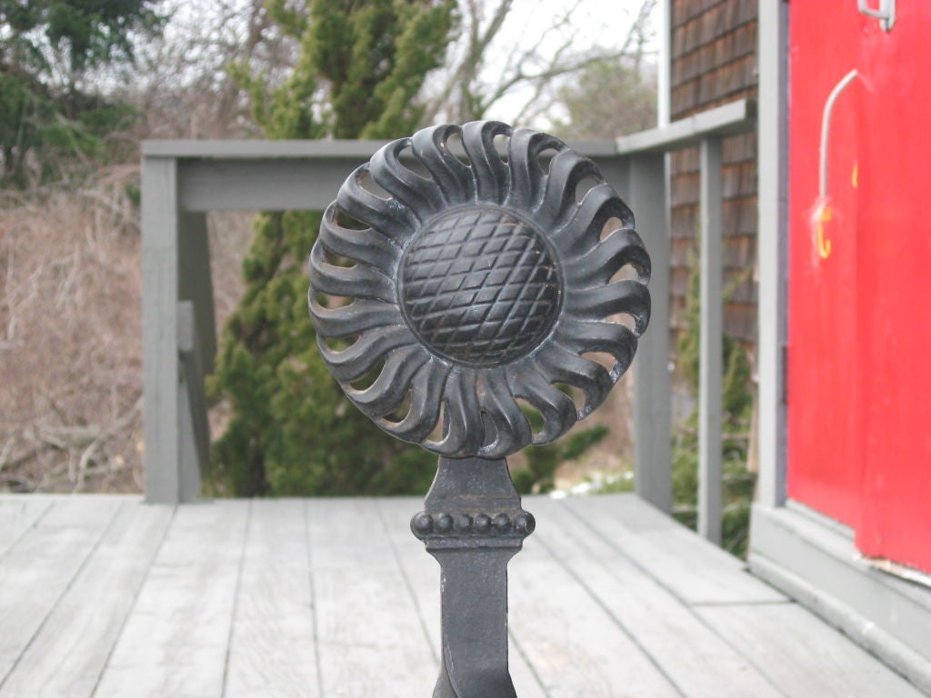 Pair of  Hand Forged Iron Sunflower Andirons