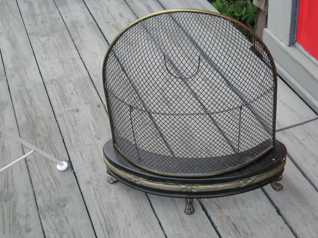 Antique Iron and BronzeTwo Piece Fireplace Screen