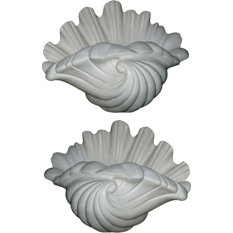 Four-Plaster Shell Wall Sconces For Sale