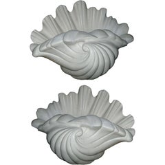 Four-Plaster Shell Wall Sconces