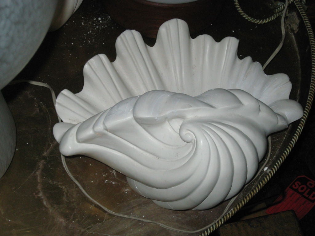 plaster shell sconce