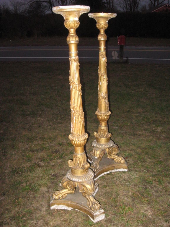 Monument Pair of 19thc Italian Gilded Wood  Pedestals/Candlestcks