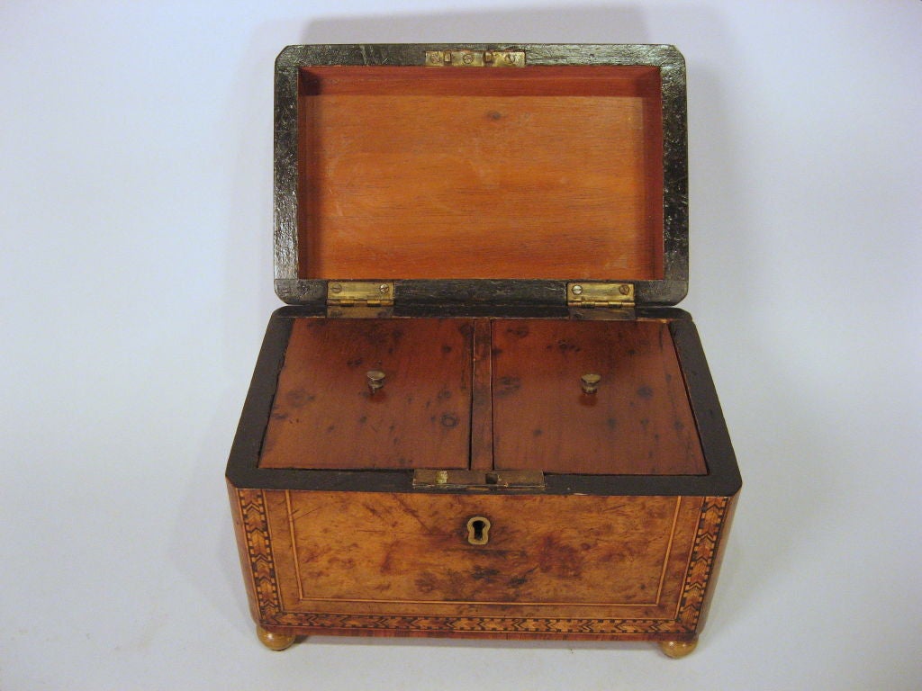English Turnbridgeware Burl Walnut Tea Caddy, c. 1840 1