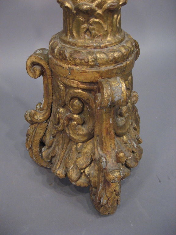 Italienischer Sockel aus vergoldetem Holz im Rokokogeschmack:: Italien ca. 1750 (Handgeschnitzt) im Angebot