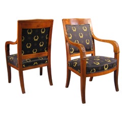 Antique Pair of Empire design Fauteuils in Mahogany, France, circa 1880