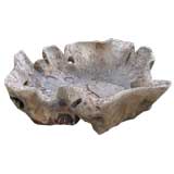 Giant Burl Wood Bowl