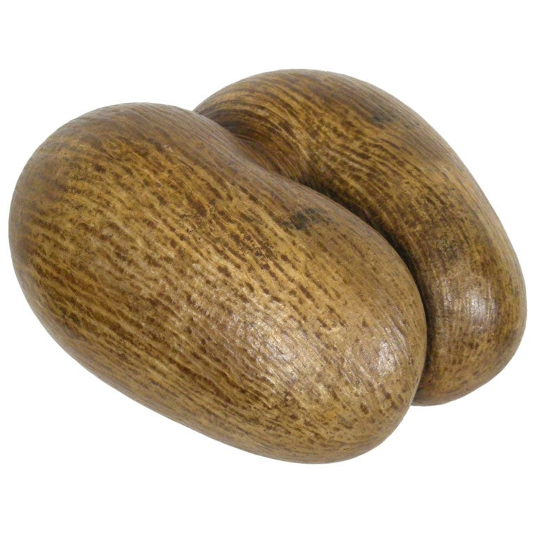 COCO DE MER/DOUBLE COCONUT