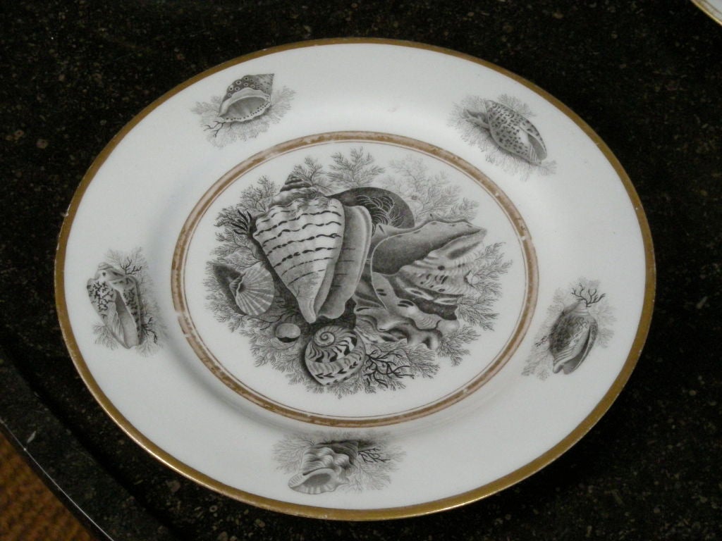 Set of 22 Royal Worcester (Barr Flight & Barr period, c. 1807-1813) white porcelain plates decorated en grisaille with shells, with gilded borders. Signed with impressed 'BFB' mark; one example with printed mark (shown in image 4). Acquired from a