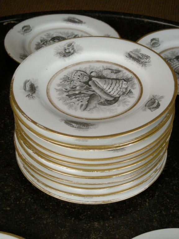 Porcelain 22 ROYAL WORCESTER PORCELAIN SHELL DECORATED PLATES , c.1810