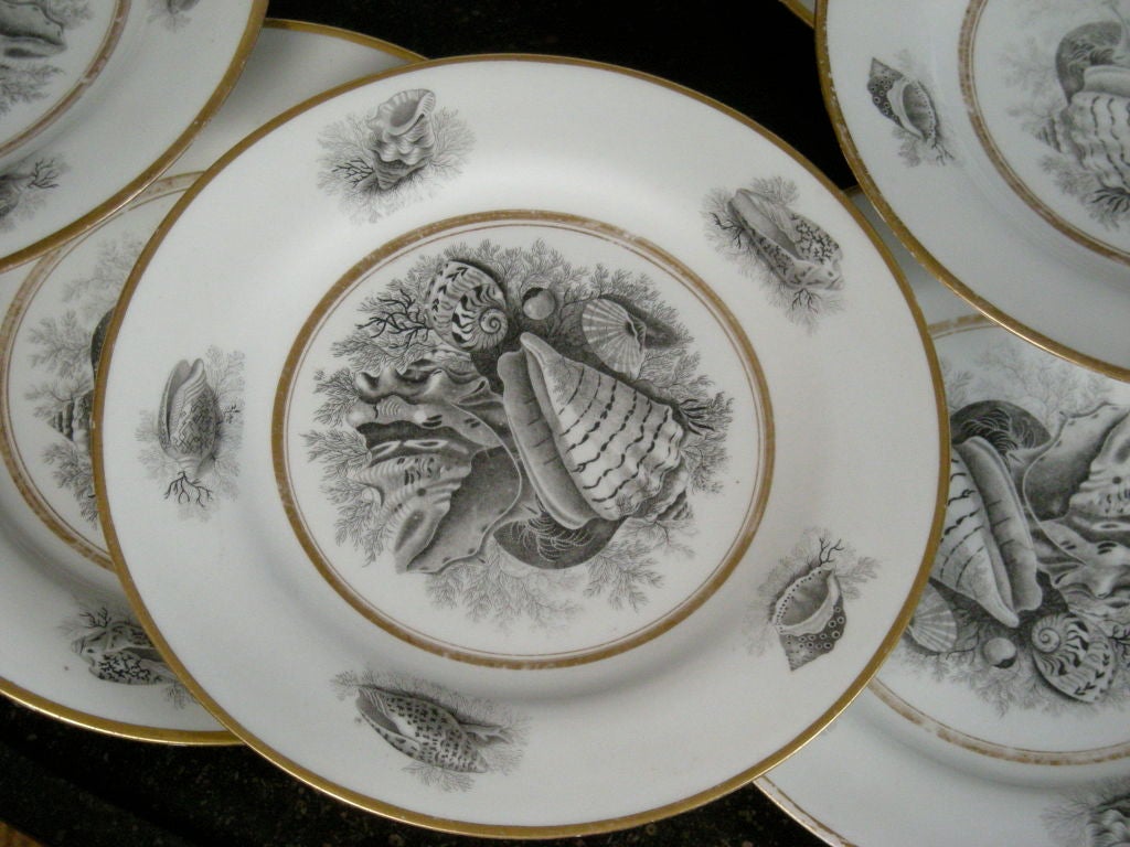 22 ROYAL WORCESTER PORCELAIN SHELL DECORATED PLATES , c.1810 2