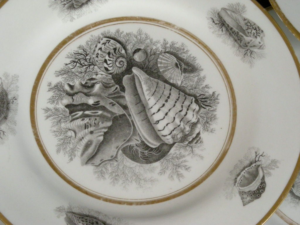 22 ROYAL WORCESTER PORCELAIN SHELL DECORATED PLATES , c.1810 1