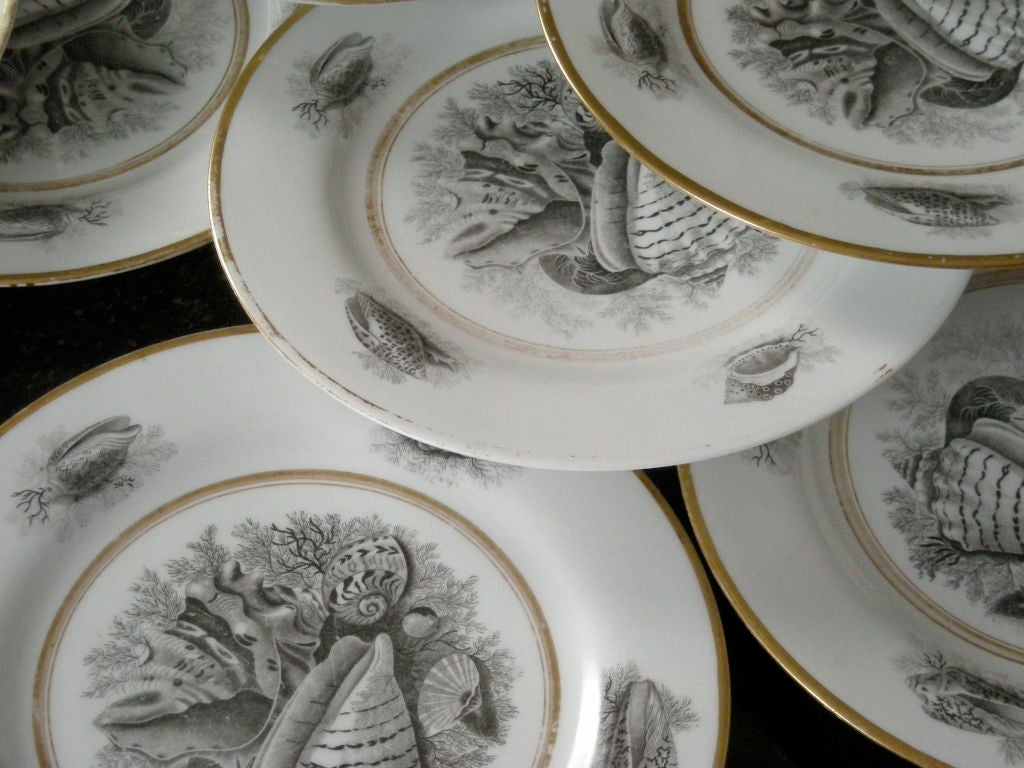 22 ROYAL WORCESTER PORCELAIN SHELL DECORATED PLATES , c.1810 4
