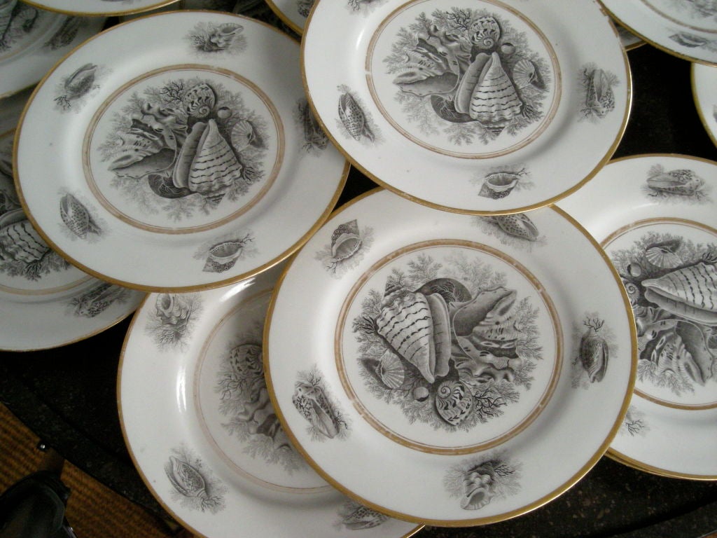 22 ROYAL WORCESTER PORCELAIN SHELL DECORATED PLATES , c.1810 3