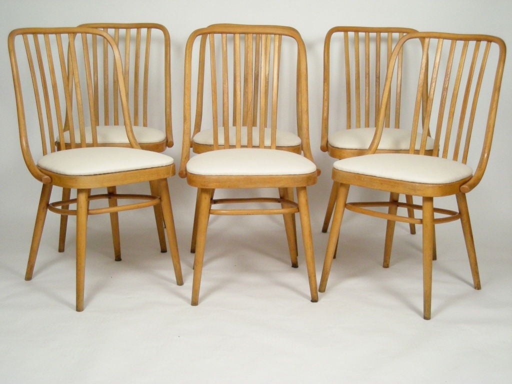SET OF 8 BENTWOOD DINING CHAIRS