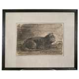 "A SLEEPY CAT" DRAWING BY WILLIAM MORRIS HUNT