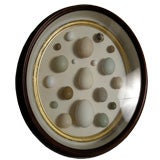 OVAL SHADOW BOX WITH BIRDS' EGGS