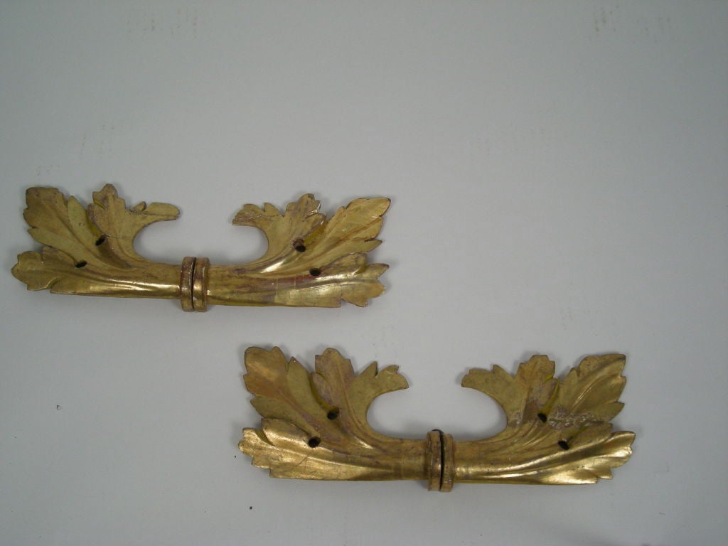 19th Century PAIR OF CARVED GILTWOOD ACANTHUS LEAF WALL DECORATIONS