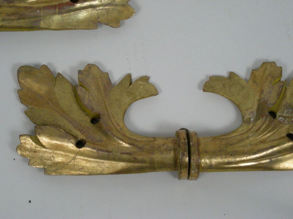 Giltwood PAIR OF CARVED GILTWOOD ACANTHUS LEAF WALL DECORATIONS
