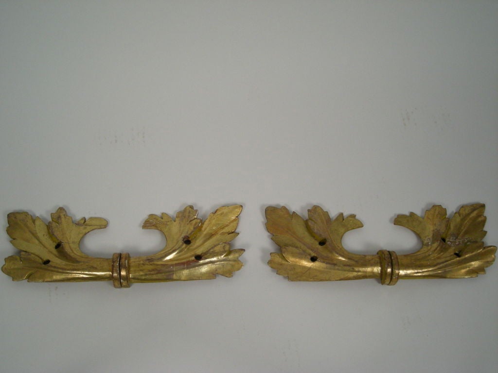 Carved PAIR OF CARVED GILTWOOD ACANTHUS LEAF WALL DECORATIONS