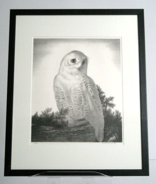 STOW WENGENROTH LITHOGRAPH  OF A SNOWY OWL 1
