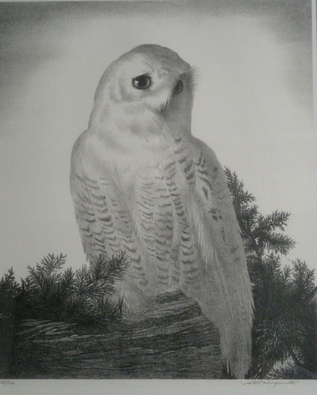 Black and white lithograph of a snowy owl, circa 1940s. by noted American artist, Stow Wengenroth (1906-1978). Edition of 100.<br />
Stow Wengenroth (1906-1978) was an American artist and lithographer, born in 1906 in Brooklyn, New York. Wengenroth