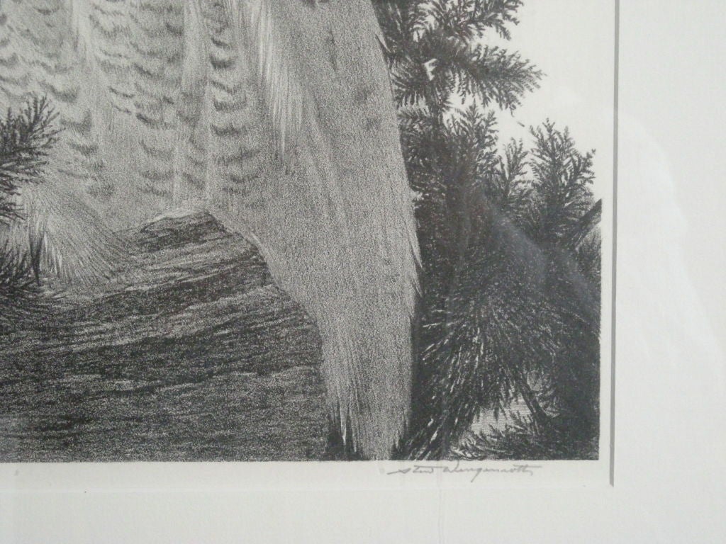 American STOW WENGENROTH LITHOGRAPH  OF A SNOWY OWL