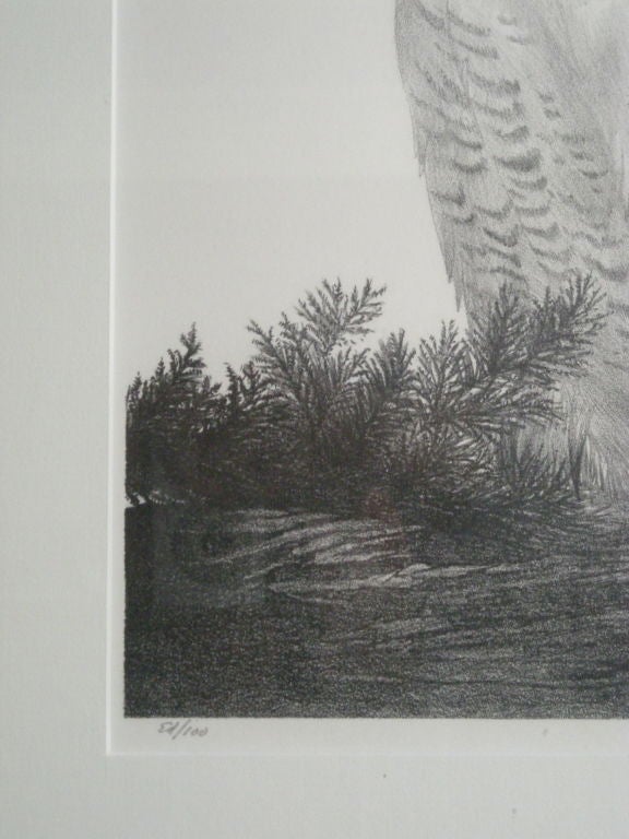 20th Century STOW WENGENROTH LITHOGRAPH  OF A SNOWY OWL