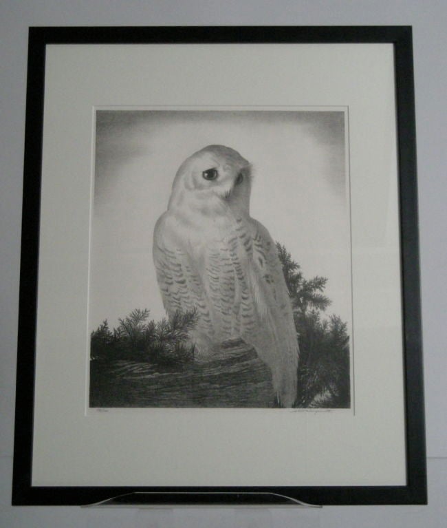 Lithograph STOW WENGENROTH LITHOGRAPH  OF A SNOWY OWL