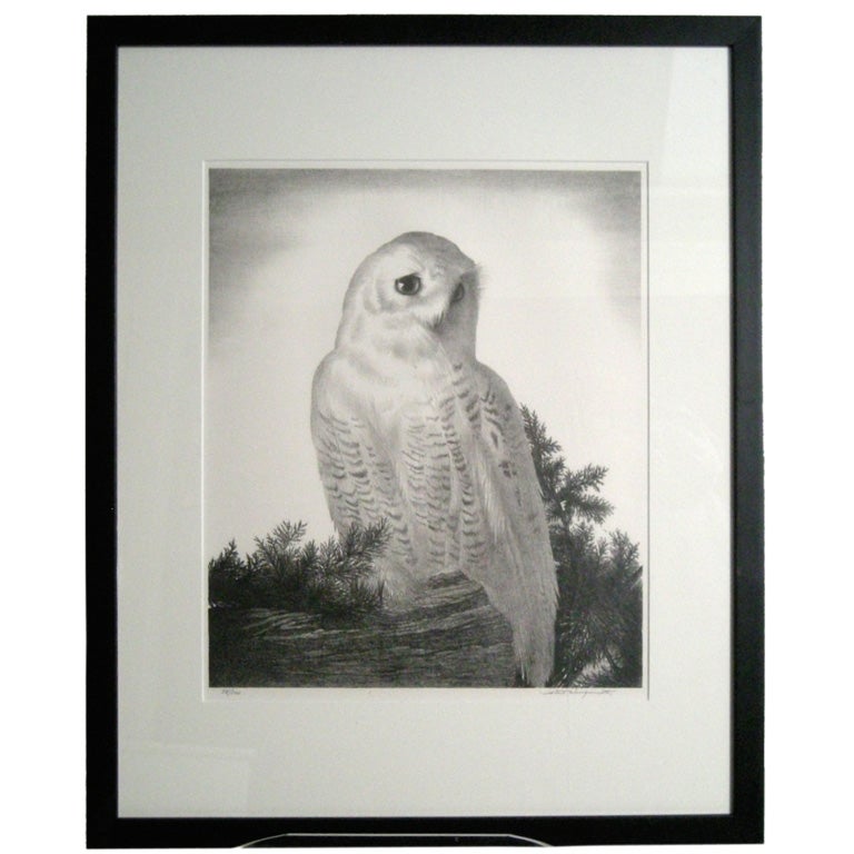 STOW WENGENROTH LITHOGRAPH  OF A SNOWY OWL