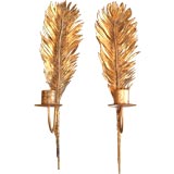 Pair of gilded feather sconces