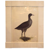 Black duck Vintage Black duck