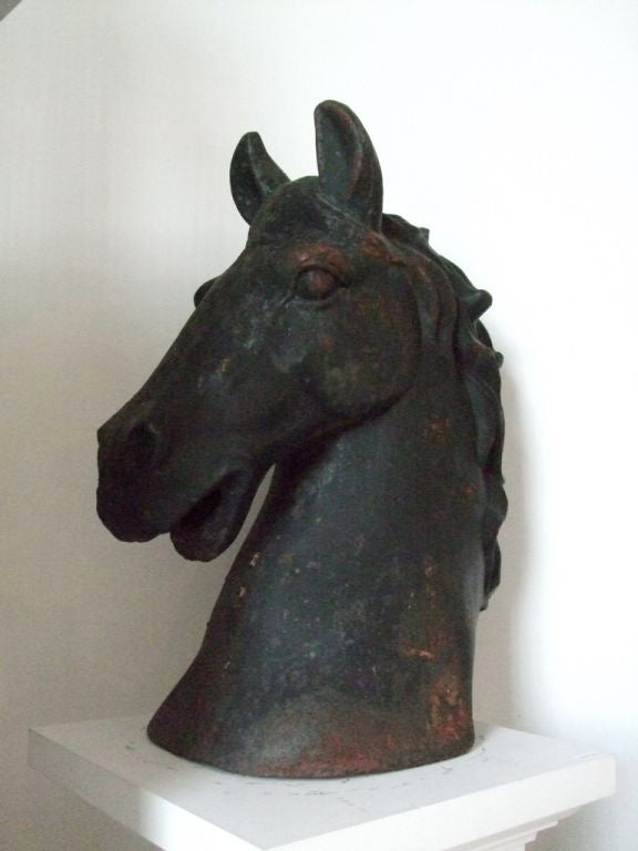 20th Century Cast iron horse head