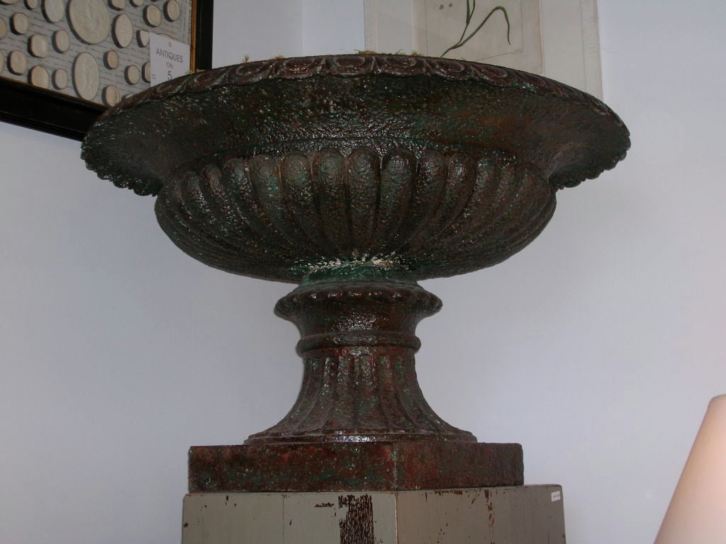 19th century, large-scale French cast iron urn with egg and dart detail and original paint.