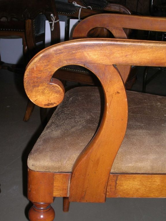 19th Century Carved Walnut Armchair 2