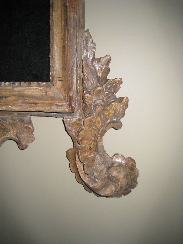 Venetian Rococo Carved and Gilded Mirror