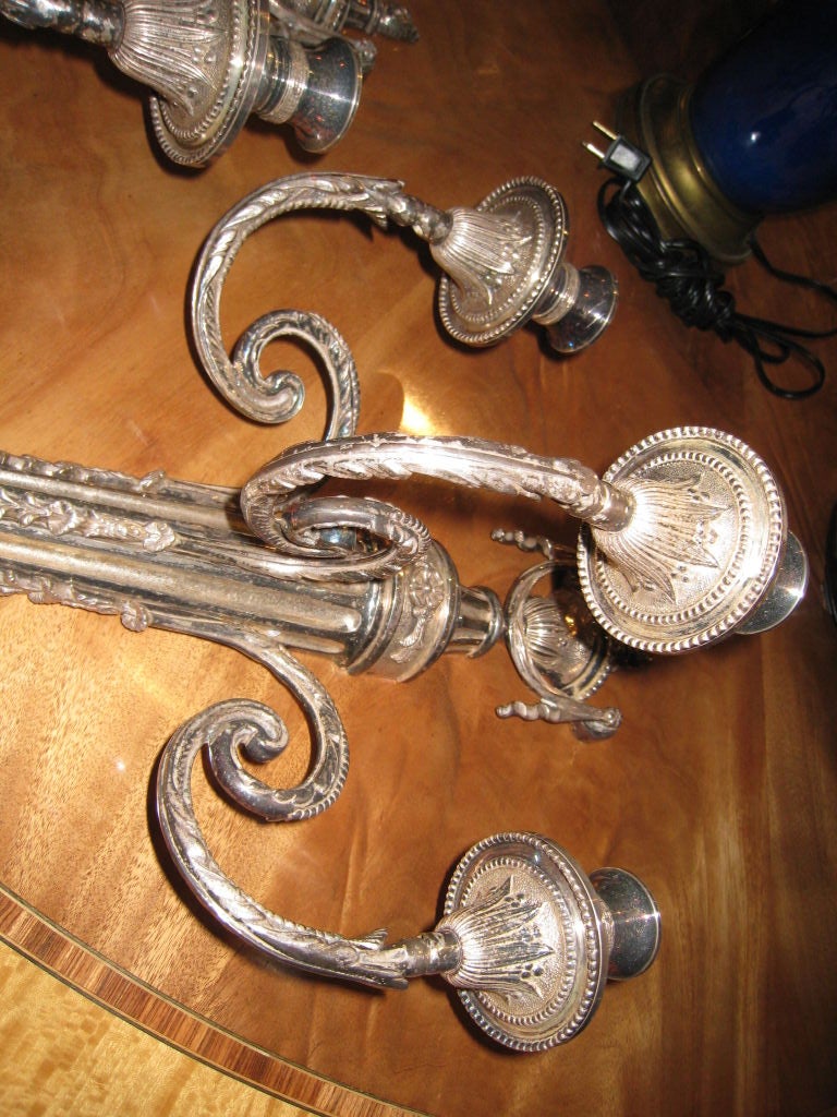 Pair Louis XVI Style Silvered Bronze Sconces