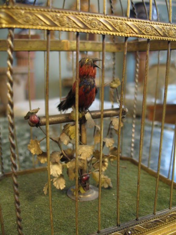 mechanical bird cage