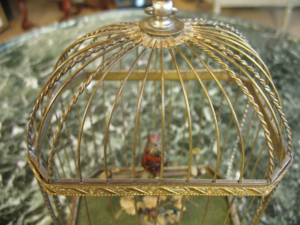 Wood Singing Mechanical Bird in Cage