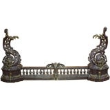 Antique French Iron and Bronze Fire Fender