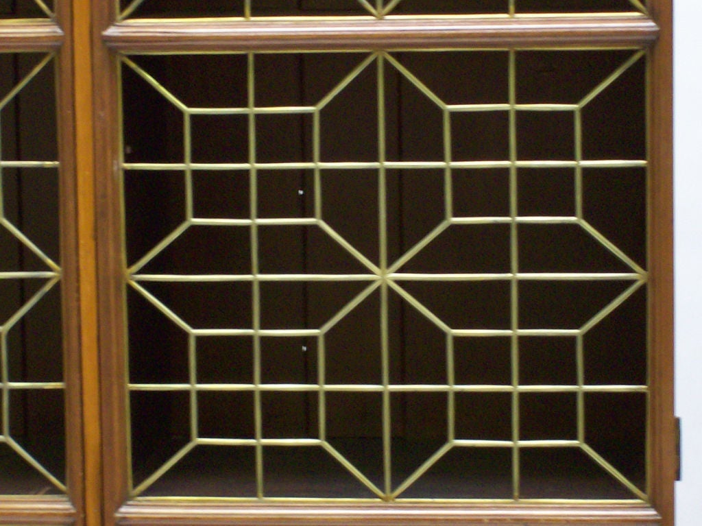 Pair of Regency Style Brass Mounted Mahogany Bookcases