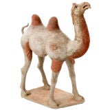 Chinese Tang Dynasty Camel