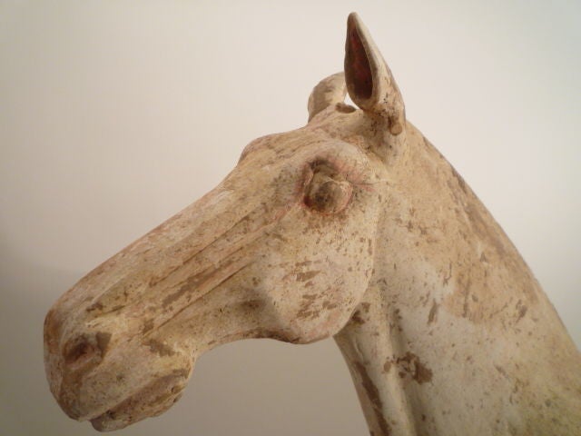 Large 'Walking' Horse - Tang Dynasty